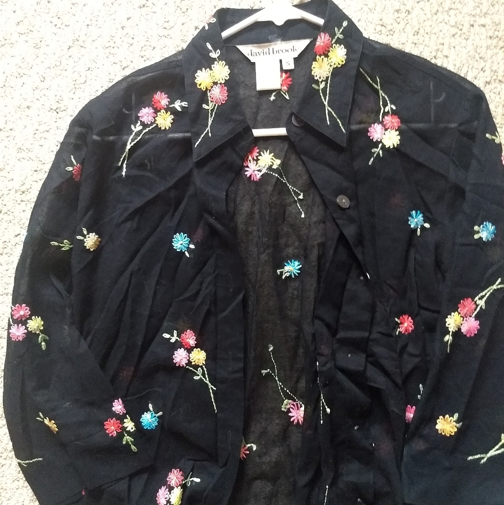 David Brooks button up